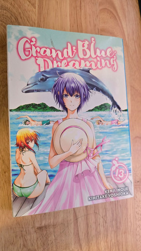 Grand blue dreaming - dreaming, 13