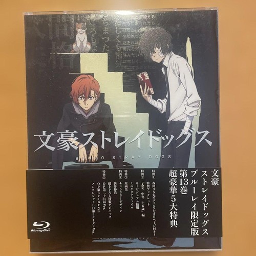 Bungo stray dogs volume - bungo, 13