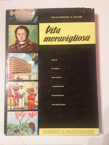 Vita meravigliosa - vita,